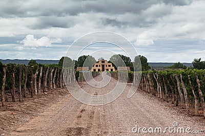 Catena Zapata Vineyard Mendoza Argentina Editorial Stock Photo