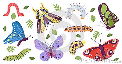 Caterpillar and butterfly. Pupa caterpillars and beautiful butterflies. Baby insects wildlife, isolated spring summer Vector Illustration