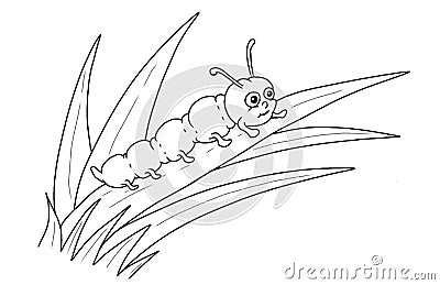 Caterpillar cartoon colouring page Cartoon Illustration