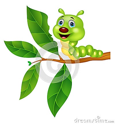 Caterpillar cartoon eating leaf Vector Illustration