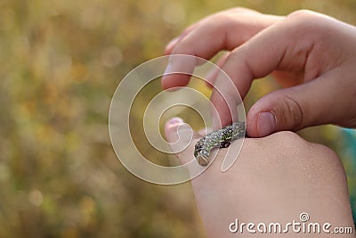 a caterpillar on a child hand. diverse environment, love and interest in nature Stock Photo