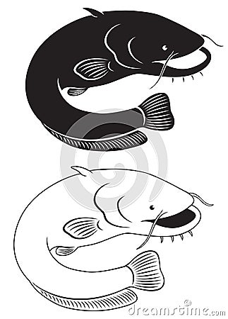catfish Vector Illustration