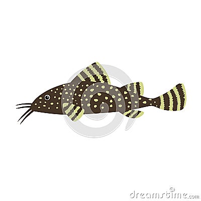 Catfish on white background Vector Illustration