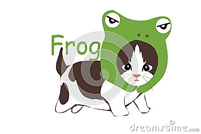 Cat frog Stock Photo