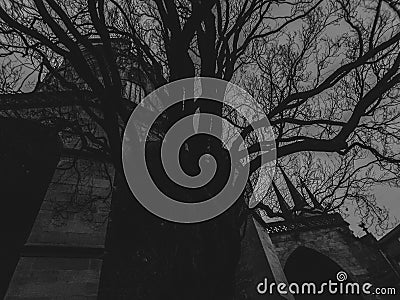 Cathedral behind trees. Just like a movie scene. Moody and spooky. Stock Photo