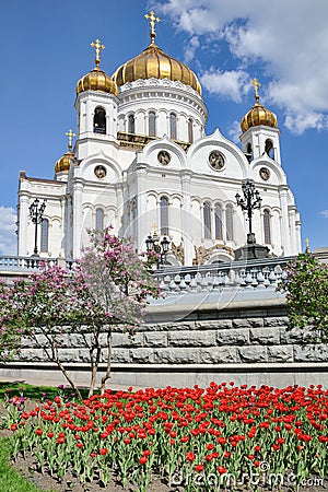 Cathedral of Christ the Savior Framed by Flowers in Spring Stock Photo