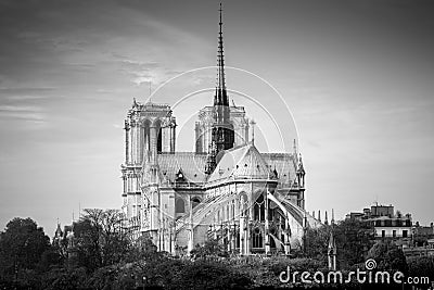 Cathedral of Notre Dame de Paris sunny autumn afternoon. BW photo. Paris. France Stock Photo