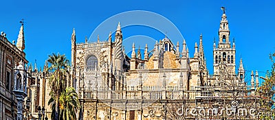 Cathedral of Saint Mary of the See. Seville, Spain. Stock Photo