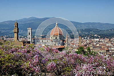 Cathedral of Santa Maria del Fiore in Florence, as seen from Bardini Garden with beautiful wisteria in bloom. Florence. Stock Photo