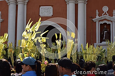 Catholics waving coconut palm leaves in celebrating Palm Sunday before Easter, Church tower background, The feast commemorates Jes Editorial Stock Photo