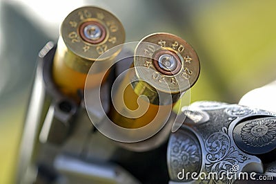 Catridges in shotgun barrel Stock Photo