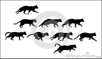 Cats Vector Illustration