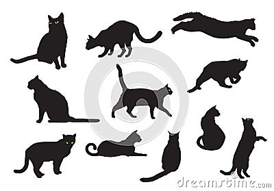 Cats Vector Illustration