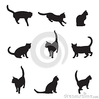 Cats Vector Illustration