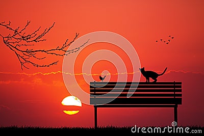 Cats and bird on bench at sunset Stock Photo