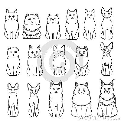 Cats breed line art bundle Stock Photo