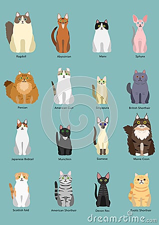 Cats breed Vector Illustration