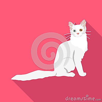 Cats of different breeds with long shadow Stock Photo
