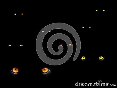 Cats eyes in the dark Stock Photo