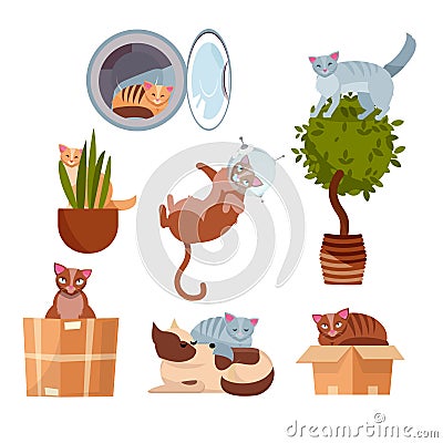 Cats in funny places: in a box, in a washing machine, on a room flower, in a pot, in space, sleeping on dog. A set of kitties in Cartoon Illustration