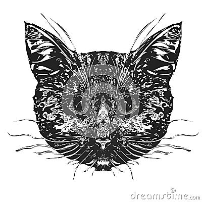 Cats head. Vector Illustration