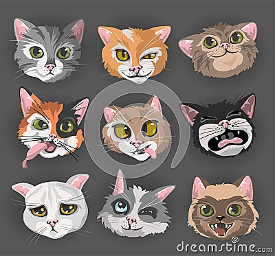 Cats heads faces emoticons vector illustration set Vector Illustration