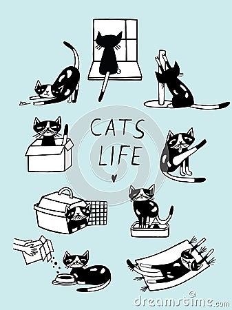 Cats life comic doodle illustration. Hand drawn kitten in various postures. Vector Illustration