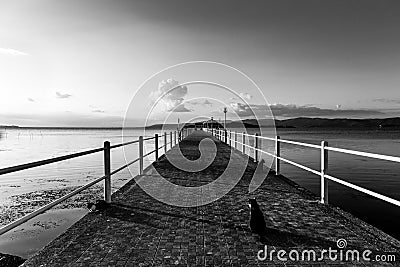 Cats on a pier on a lake with long sunset shadows Stock Photo