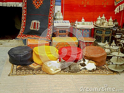 Cats resting over rugs and cushions Stock Photo