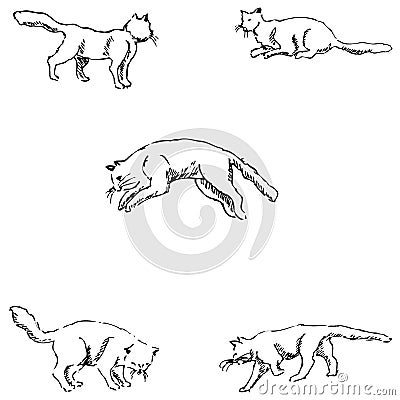 Cats. A sketch by hand. Pencil drawing Vector Illustration