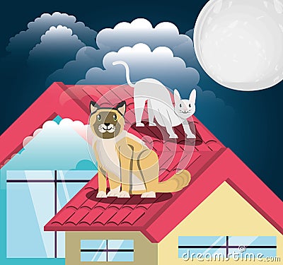 Cats under the light of the moon in the roof Vector Illustration