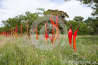 Cattails and Copper Birch Reeds by artist Dale Chihulyat Kew Gardens. Editorial Stock Photo