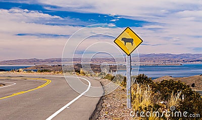 Cattle crossing warning road sign Stock Photo