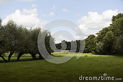 Cattle Farm Land With Farm House In The Distance Stock Photo