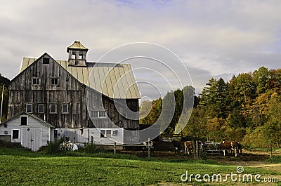 Cattle farm Stock Photo