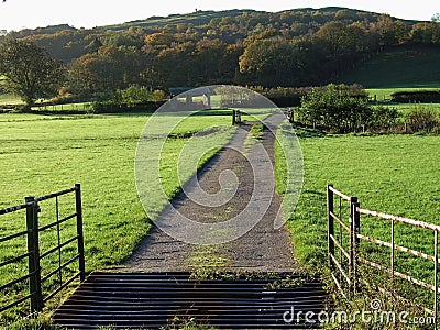 Cattle grid Stock Photo