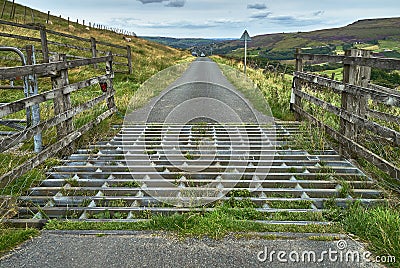 Cattle Grid Stock Photo