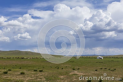 cattle, horses and ger in mongolian steppe Stock Photo