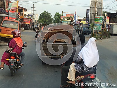 Cattle transport, Indonesia Editorial Stock Photo