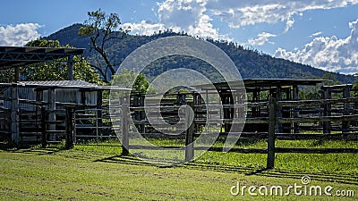 Cattle Yards With Timber Fencing Stock Photo