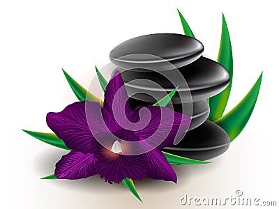 Cattleya orchid background Vector Illustration