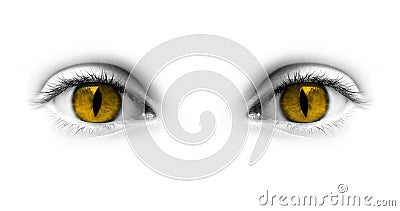 Catwoman yellow eyes Stock Photo