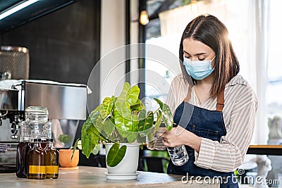 Caucasian beautiful Coffee shop owner wear protective mask due to Covid-19 pandemic, spraying water on green leaf inside coffeehou Stock Photo