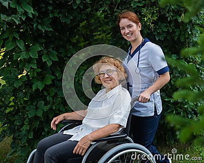 Caucasian female doctor walks with an elderly patient in a wheelchair in the park. Nurse accompanies an old woman on a Stock Photo