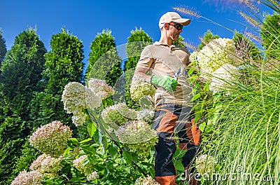 Caucasian Garden Taker Performing Seasonal Maintenance Stock Photo