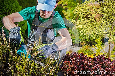 Gardener Working in a Garden Stock Photo