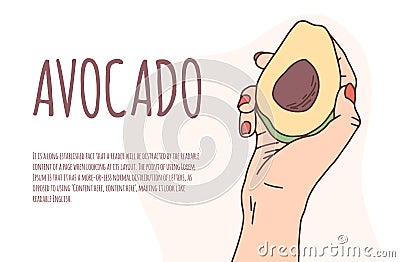 Caucasian Hand holds a avocado on an isolated background vector banner. Proper nutrition, vegan. Eco-product. Avocado in hand Vector Illustration