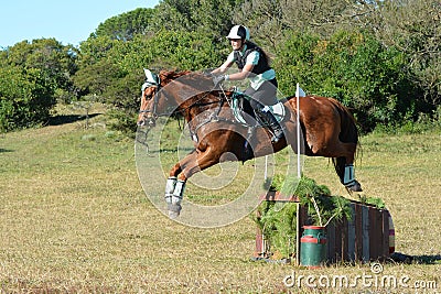 Horse and rider jumping Stock Photo