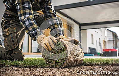 Caucasian Landscaper Installing Roll of New Natural Grass Turf Stock Photo