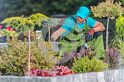 Newly Developed Garden Stock Photo